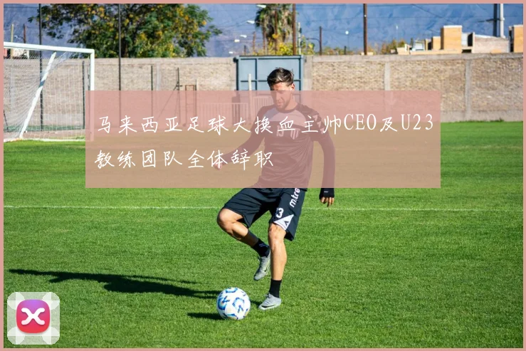 马来西亚足球大换血主帅CEO及U23教练团队全体辞职